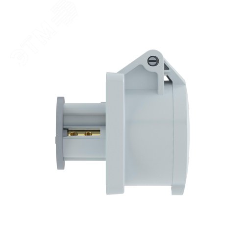 Розетка панельная PSS IP44 32A 3P 50В - фото 2