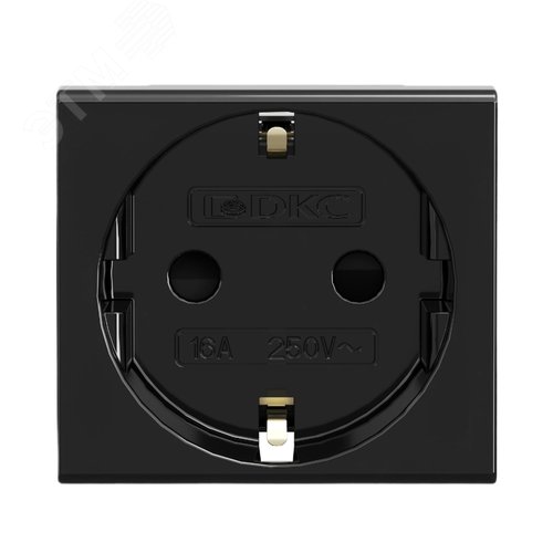 Розетка силовая, ЭУИ Вива (Viva), 2 мод., цвет че - фото 1