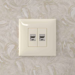 Avanti Компьютерная розетка RJ-45 без шторки в    стену кат.5e двойная экранированная Ванильная     дымка - фото 5