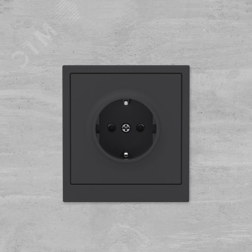 Розетка силовая, 2P+E, с з/ш, KANT, черный уголь - фото 6