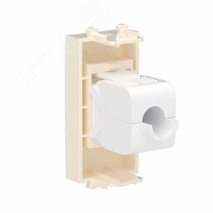 Avanti Компьютерная розетка RJ-45 без шторки модульная, кат.6А,  Ванильная дымка, 1 модуль - фото 3