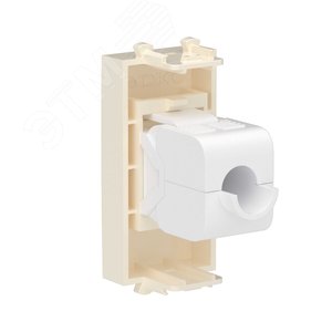 Avanti Компьютерная розетка RJ-45 без шторки модульная, кат.5е,  Ванильная дымка, 1 модуль - фото 3