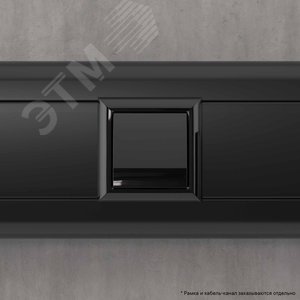 Вывод кабеля модульный, Avanti, черный квадрат, 2 модуля - фото 6