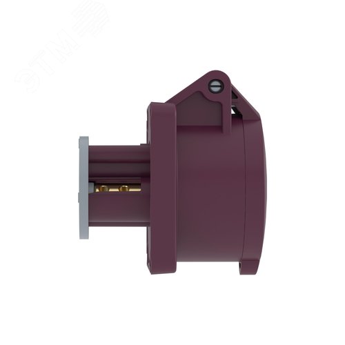 Розетка панельная PSS IP44 16A 2P 25В - фото 2