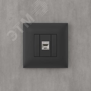 Avanti Компьютерная розетка RJ-45 без шторки в стену, кат.5e одинарная экранированная,  Черный матовый - фото 5