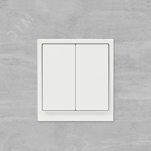 Кнопка двухклавишная, KANT, белая магнолия - фото 6