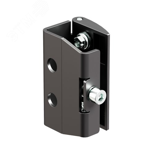 Петля для открытия двери на 180° для корпусов CQE N, упаковка - 4 шт. RAM block - фото 2