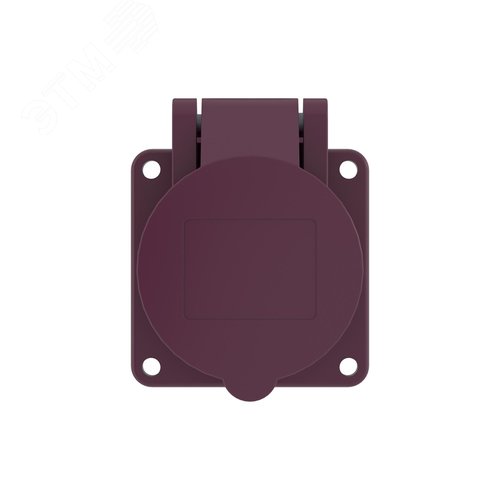 Розетка панельная PSS IP44 16A 2P 25В - фото 3