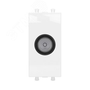 Avanti Розетка TV оконечная модульная,  Белое облако, 1 модуль - фото 1