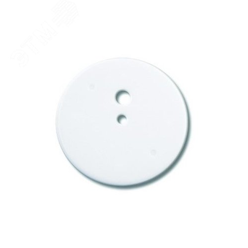 Изображение товара Крышка для коробки потолочной с крюком IP40 D=87мм (шт)