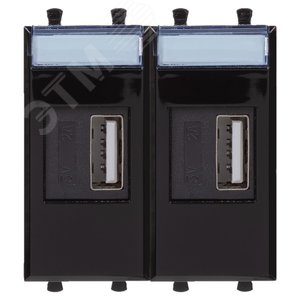 Avanti USB зарядное устройство ''Черный квадрат'', 2.1А, 2 модульное 4402542 DKC