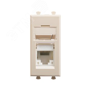 Компьютерная розетка RJ-45 модульная, кат.6А, Avanti, ванильная дымка, 1 модуль - фото 1