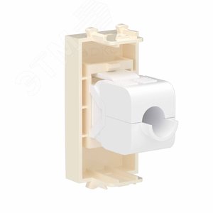 Avanti Компьютерная розетка RJ-45 без шторки модульная, кат.6,  Ванильная дымка, 1 модуль - фото 3