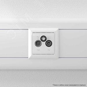 Avanti TV-FM-SAT ''Белое облако'', 16A, 2 модульный - фото 6