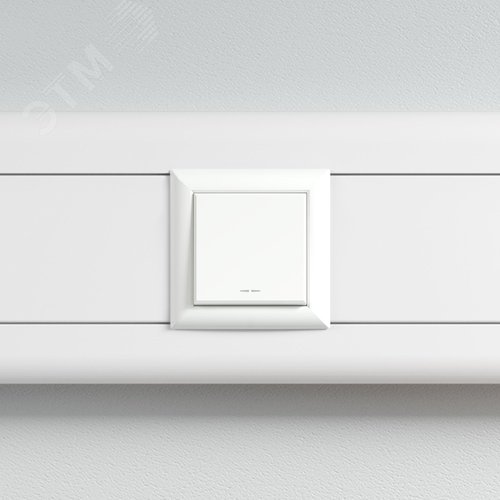 Avanti Кнопка ''Белое облако'', 16A, 2 модульная - фото 5