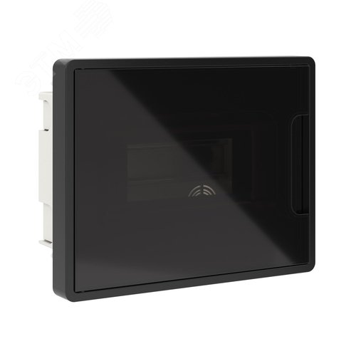 Щиток 8 мод встраиваемый Фрейм (FRAME), черный, с тонированной дверцей, с 2 шинами PEN на 6 и 8 отв. - фото 1