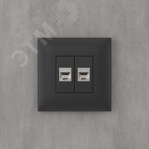 Avanti Компьютерная розетка RJ-45 без шторки в стену, кат.5e двойная экранированная,  Черный матовый - фото 5