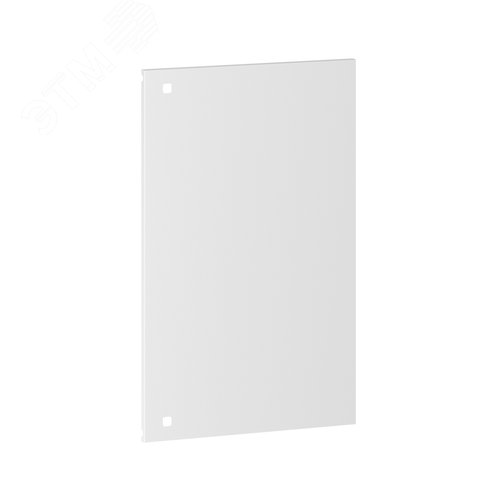 Правая створка двустворчатой двери ST без ручки 800x1000 (ВхШ) мм - фото 1