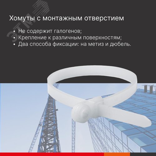 Хомут P6.6 с монтажным отверстием M6, белый 7,6x300 - фото 3