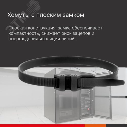 Хомут P6.6 с плоским замком, черный 9x300 - фото 4