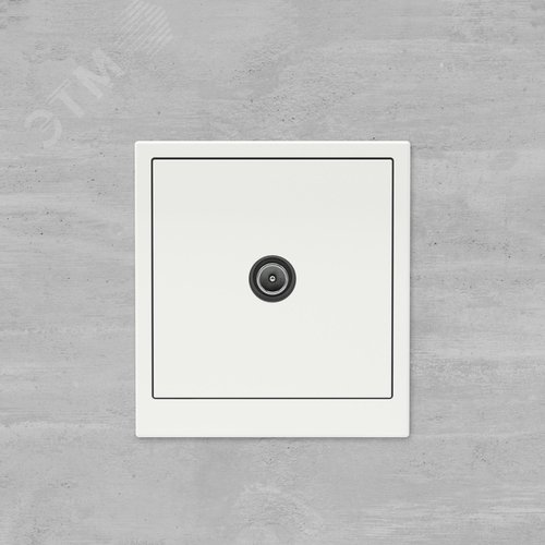 Розетка TV проходная, KANT, белая магнолия - фото 6