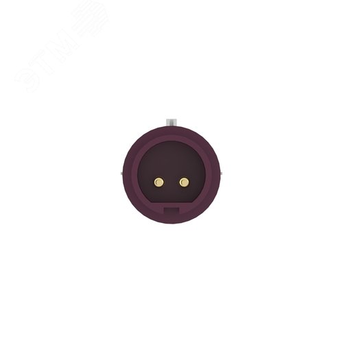 Вилка кабельная CP IP44 32A 2P 25В - фото 3