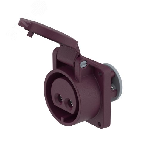 Розетка панельная PSS IP44 16A 2P 25В - фото 1