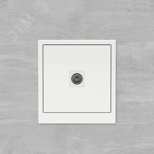 Розетка TV одиночная, KANT, белая магнолия - фото 6