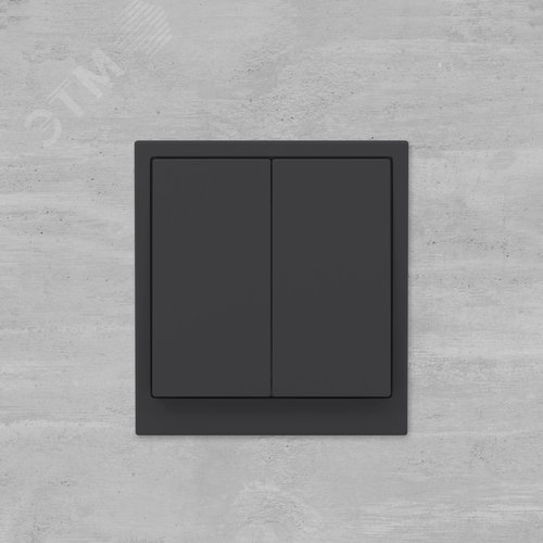 Кнопка двухклавишная, KANT, черный уголь - фото 6