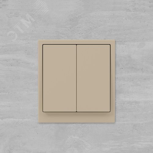 Переключатель двухклавишный, KANT, ванильный марципан - фото 6