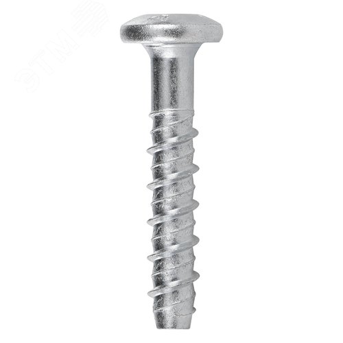 Анкер-шуруп для бетона полукруглая головка TORX 6x40 мм - фото 1