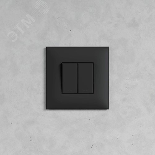 Avanti Инвертор двухклавишный в стенуЧерный       матовый (Переключатель сх. 7+7) - фото 5