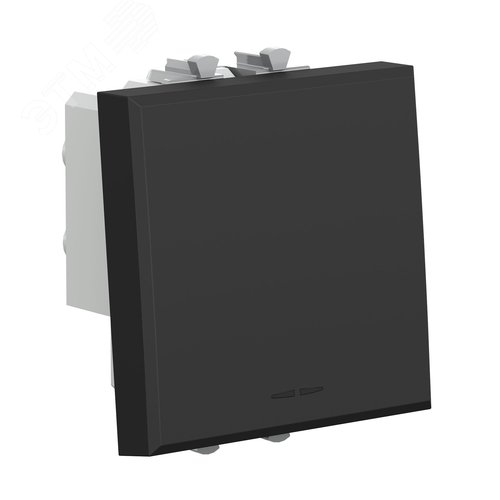 Инвертор одноклавишный модульный, Avanti, черный матовый, 2 модуля - фото 2