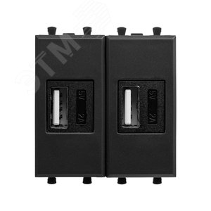 USB зарядное устройство модульное 2.1 А, Avanti, черный матовый, 2 модуля - фото 1