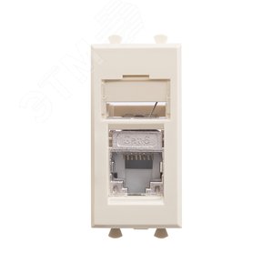 Компьютерная розетка RJ-45 модульная, кат.6 экранированная, Avanti, ванильная дымка, 1 модуль - фото 1
