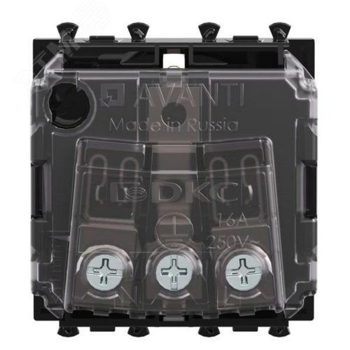 Розетка модульная, 2P+E, с з/ш, Avanti, черный матовый, 2 модуля - фото 3