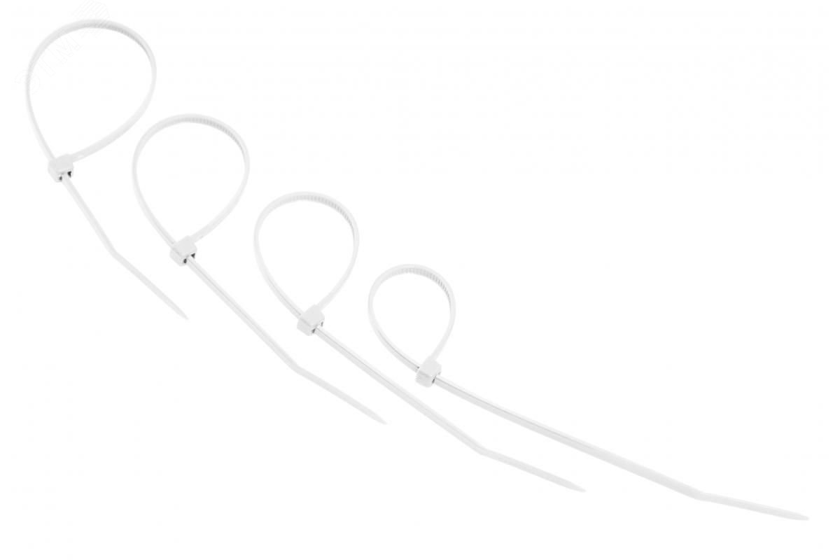 Изображение товара Хомут-стяжкa нeйлонoвая 150x2,5 мм, белая, упаковка 25 шт, REXANT (упак)