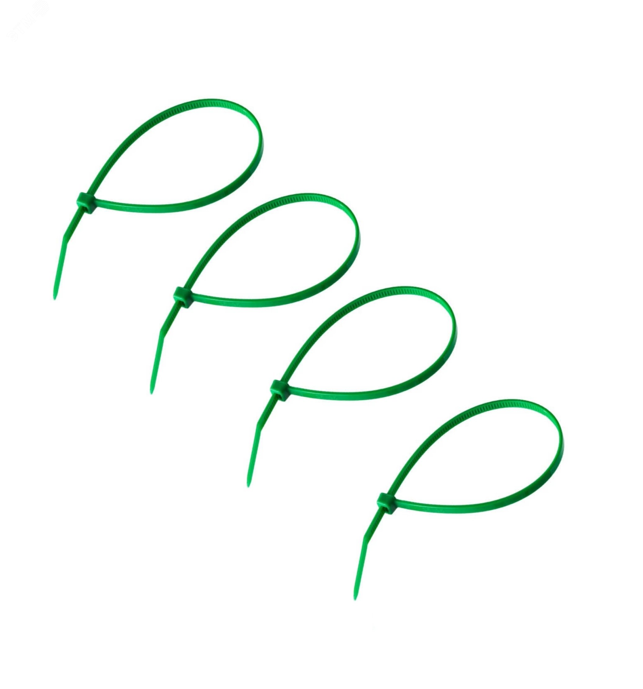 Изображение товара Хомут-стяжкa нeйлонoвая 150x2,5 мм, зеленая, упаковка 25 шт, REXANT (упак)