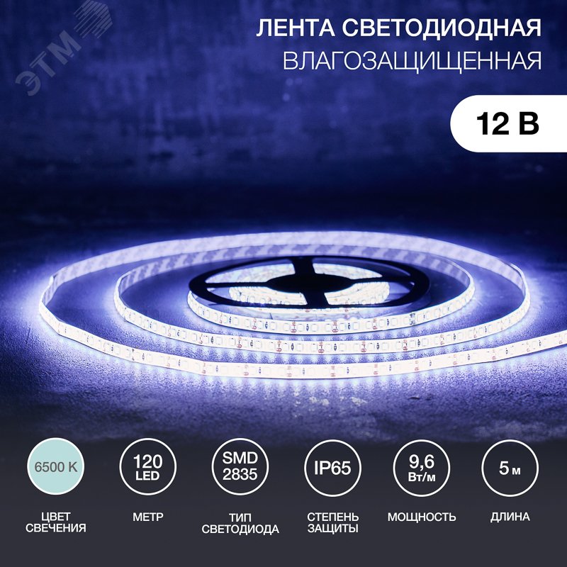 Изображение товара Лента светодиодная 9.6 Вт/м 12В 6500K IP65 LEDx120/м 5м SMD2835 (шт)