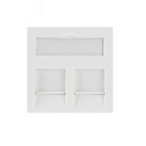 Изображение товара Вставка Mosaic 45x45, на 2 порта со шторкой (шт)