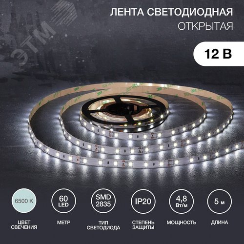 Изображение товара Лента светодиодная 4.8Вт/м 12В 6500K IP20 LEDx60/м 5м SMD2835 для блока питания с клеммами (шт)