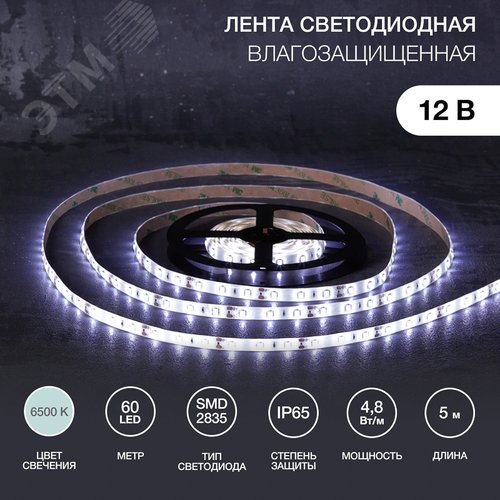 Изображение товара Лента светодиодная 4.8Вт/м 12В 6500K IP65 LEDx60/м 5м SMD2835 для блока питания с клеммами (шт)