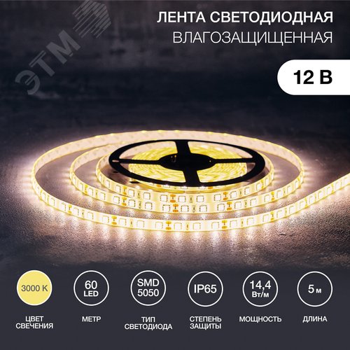 Изображение товара Лента LED силикон, 10 мм, IP65, SMD 5050, 60 LED/m, 12 V, цвет свечения теплый белый (шт)
