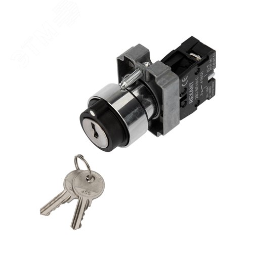 Изображение товара Переключатель BD21 2P с замком NO (шт)