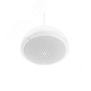 Изображение товара Оповещатель трансформаторный речевой РОП АРИЯ-ТС-5П К купольный 30/70/100 В 5Вт (шт)