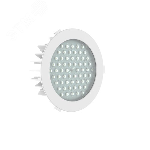 Светильник ДВО 06-56-940-Д110 - фото 1