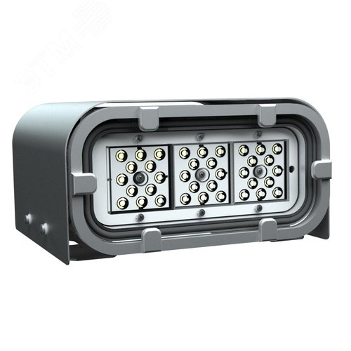 Светильник FWL 28-54-830-F15 двухсторонний - фото 1