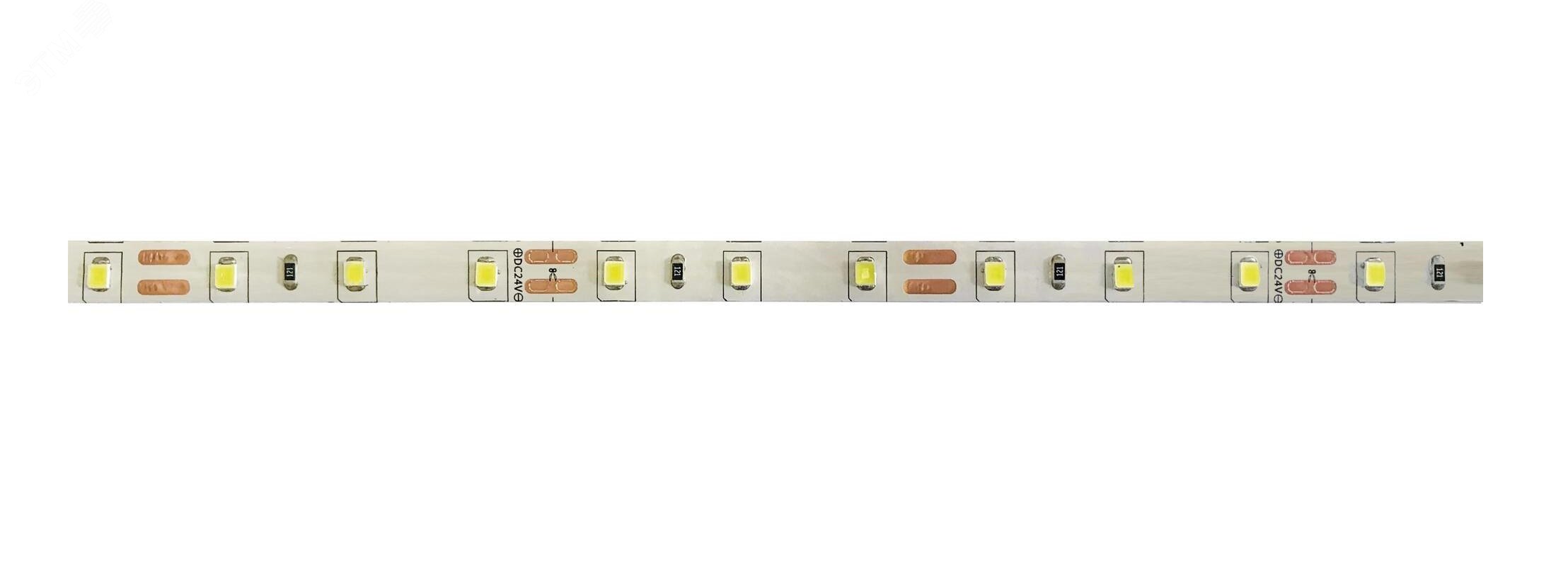 Изображение товара Лента светодиодная PLS PRO 2835/120-24V - 6000K IP20 5m (шт)