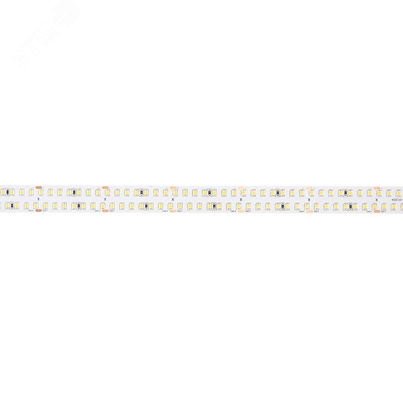 Изображение товара Лента светодиодная 30Вт/м 24В 6000К холодный белый IP20 5м