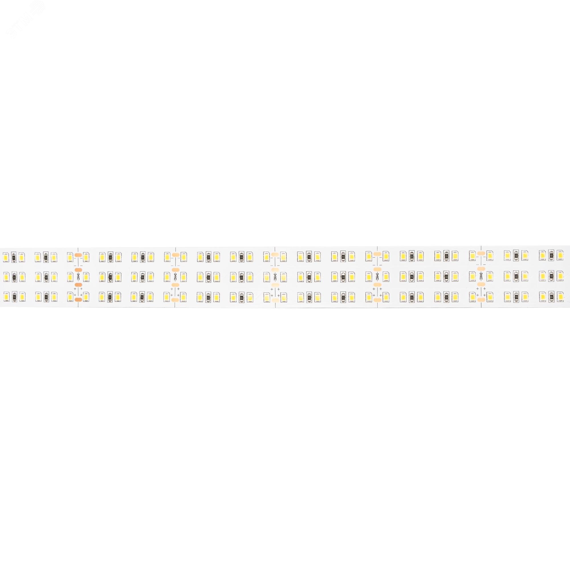 Изображение товара Светодиодная лента 40 Вт/м 24В IP20 360LED/м серия PLS PRO